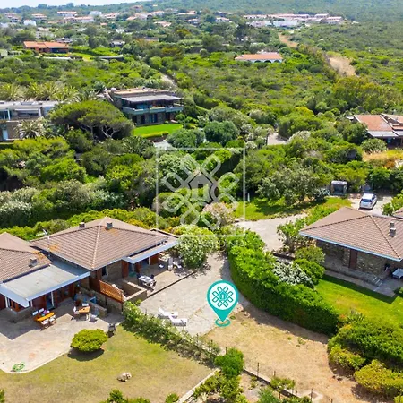 Turtle House סטינטינו